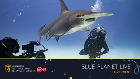 Blue Planet Live 